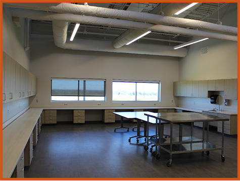 CISD Science Career Technology 5